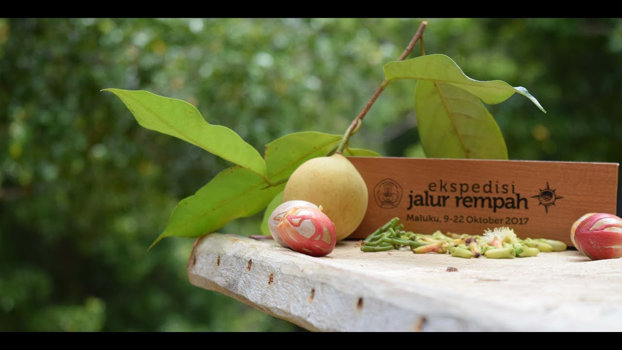 Perjalanan Kegiatan Tim Pulau Seram 'Negeri Luhu' EJR Maluku 2017