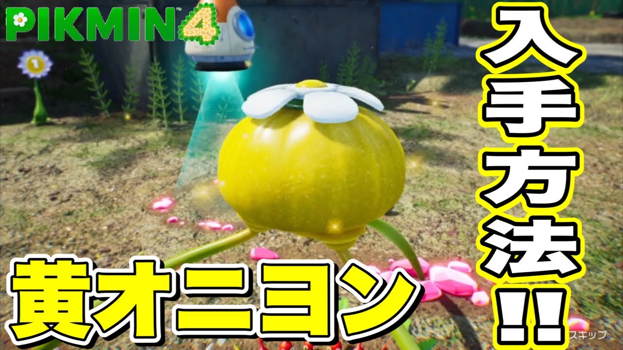 ピクミン4】黄オニヨン入手方法!! - YouTube
