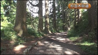 A290改訂 東海道箱根旧街道 -1 ダイジェスト＋箱根関所跡～旧街道石畳～畑宿バス停