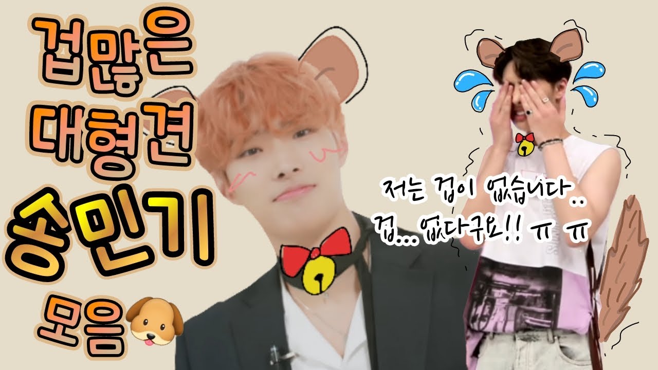 [ATEEZ/에이티즈] 겁많은 대형견🐶송민기 모음 (feat.라이벌은 산이?)밍기는 겁이많은게 아니구,아직 아가👶라서 그런곤뎅...