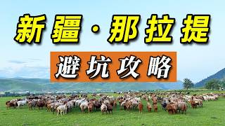 保姆級路線+住宿+避坑指南！去那拉提帶上這篇攻略就夠了！