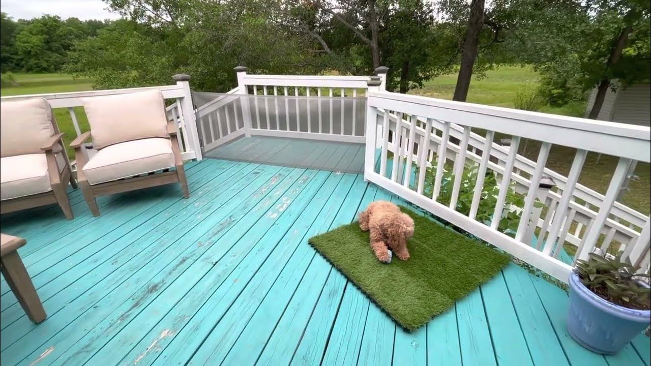 Level Up Your Outdoor Space with XLX TURF Artificial Grass Tiles Feels Like Real Grass YouTube