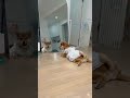 鏡よ鏡、鏡さん。世界で一番美しいのはだれ?