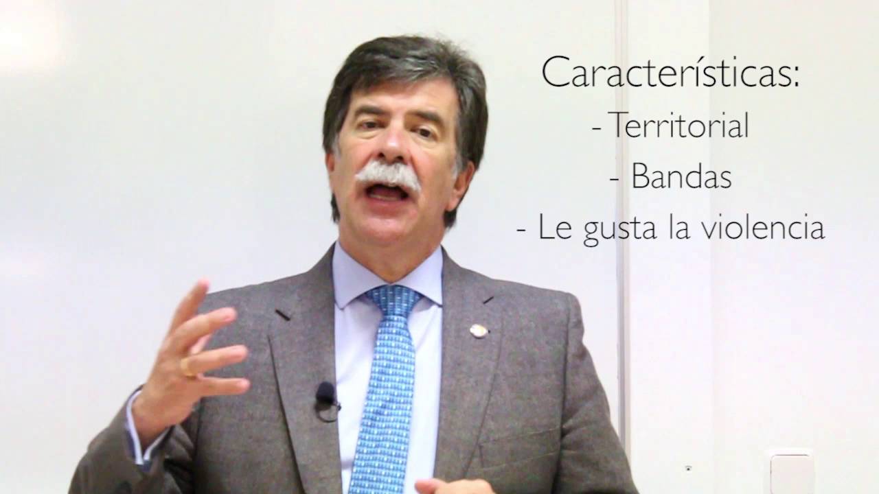 javier urra pdf Menor como agresor