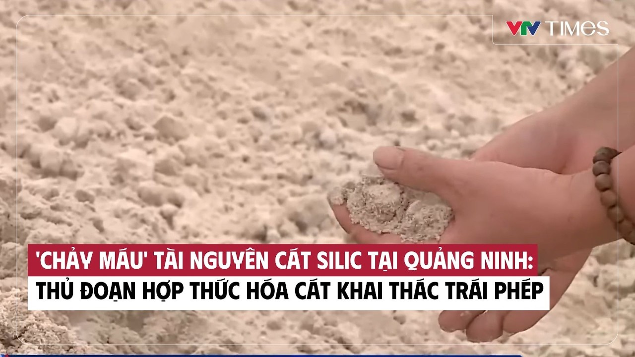 'Chảy máu' tài nguyên cát silic tại Quảng Ninh: Thủ đoạn hợp thức hóa cát khai thác trái phép