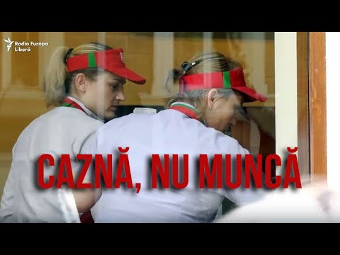 Video: Ce Sunt Riscurile Profesionale și Cum Sunt Clasificate