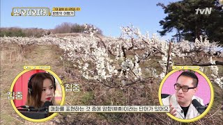 아산에서 가장 '힙'한 장소들은 어디일까? showAJ 190414 EP.5