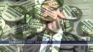 Animal rights advocates lobby in Albany