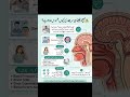 Feeling a Heavy Head Right After Waking Up — What Could It Indicate?