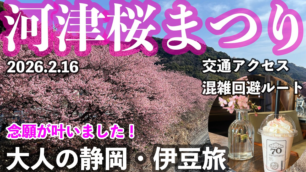 【字幕】大人の静岡 #伊豆旅 🌸早春の #河津桜 ④ ＃河津桜まつり ・河津観光・涅槃堂・河津桜展望台・桜見晴台・河津桜原木・JR河津駅　コインロッカーの使い方・荷物預かり・河津からJRで伊豆熱川へ