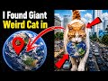 😱I Found Giant Weird Cat in Real Life on Google Earth 🌍 #trending #ytshorts #pmbro76#earth 