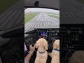 #aviation #lifeisbutadream #pets #ihavethisthingwithplants #flight #dogshorts