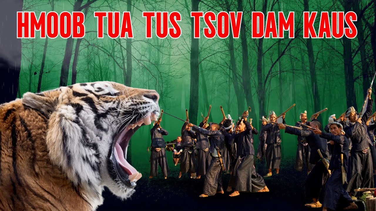 HMOOB TUA TUS TSOV DAM KAUS