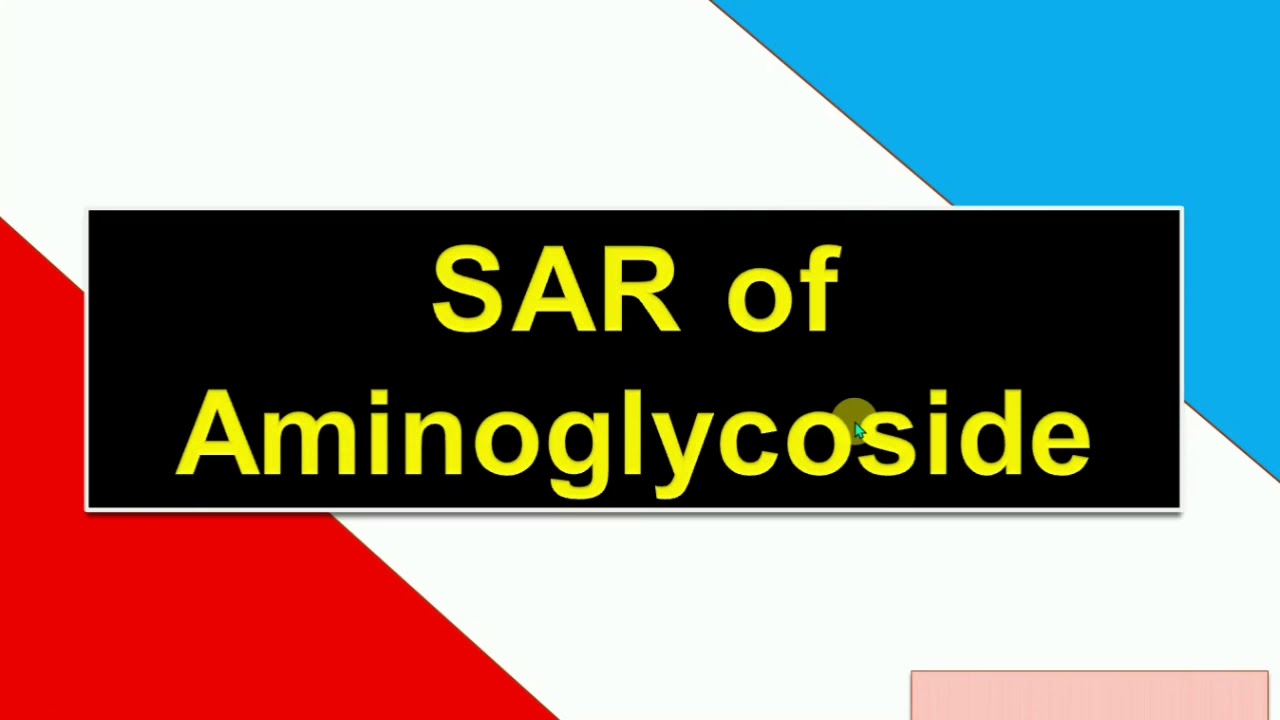 Sar of aminoglycoside || medicinal chemistry-3 || GPAT21 || 3rd year b pharma || 