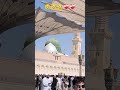 Madina ❤️🥹🤲#makkah #madina