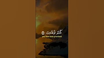 إن الذين قالوا ربنا الله ثم استقاموا /سورة فصلت|الشيخ ناصر القطامي