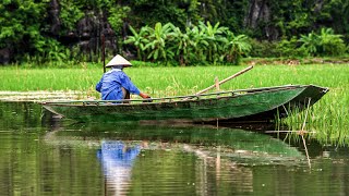 Tam Coc A Journey Along Vietnams Ngo Dong River