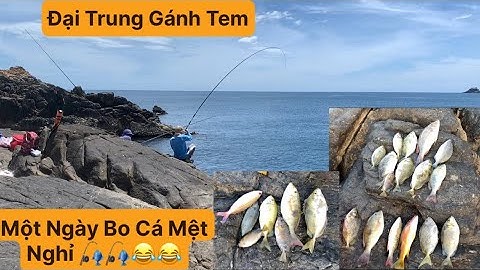 Câu Cá Biển Tự Nhiên. Câu Ghềnh. TÝ FISHING. ( Vietnamese fishing )