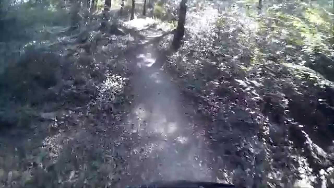 Timber Trail  - Lanhydrock - Cornwalll