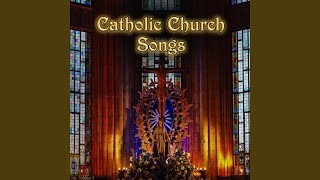 Asubuhi Mchana Usiku