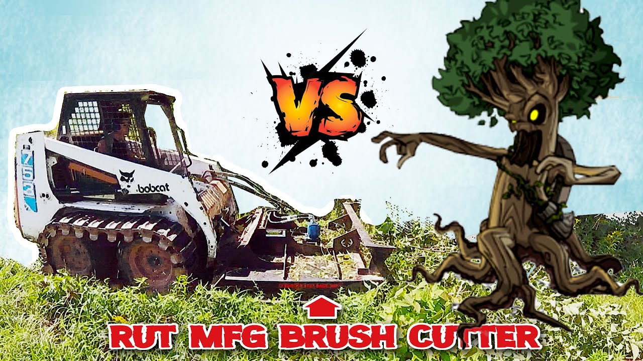 Old Skidsteer + Brush Cutter VS Trees--Is it Worth It? - YouTube