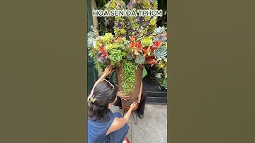 Hoa Chúc Mừng Kỷ Niệm 10 Năm Ngày Cưới Hoành Tráng Nhất Mà Tôi Từng Thấy