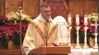 Jan 05 - Homily: Manifesting Christ Jan 05 - Homily: Manifesting Christ