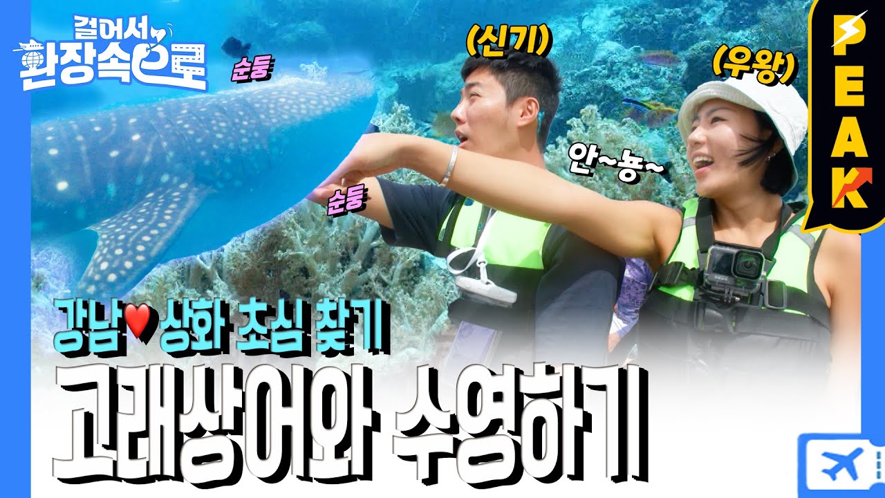 [#피크타임] 고래상어 앞에서 냅다 도망가는 얼음 공주 이상화? 이런 모습 처음이야! | #걸어서환장속으로 | KBS 230416 방송