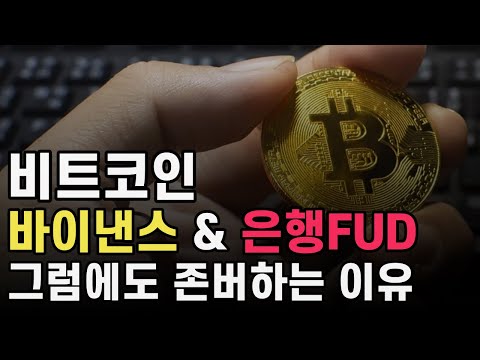 비트코인 바이낸스 은행 FUD 그럼에도 존버하는 이유 