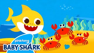 Baby Shark Went On a Trip | Baby Shark Dance and Song | Baby Shark Sing Along | Baby Shark Official