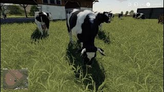 Farming Simulator 19 Comprando vacas screenshot 3