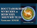 Восстановление мужских и женских энергий тела | Ченнелинг ЗЕМЛЯ