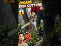 Petrol Chainsaw Kitni Powerful Hai? 😱 Ek Tree Cutting Demo 🪚 #shorts