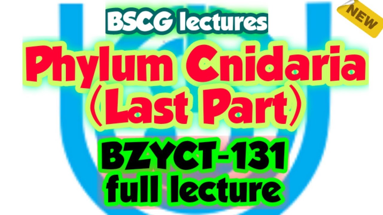 Phylum Cnidaria (Last Part) | Zoology | Animal Kingdom| BSCG LECTURES ...