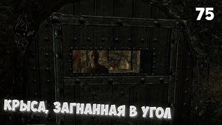 The Elder Scrolls V: Skyrim Anniversary Edition | #75 • Крыса, загнанная в угол