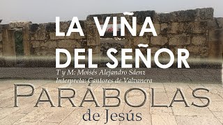 LA VIÑA DEL SEÑOR - PARABOLAS - DOMUND