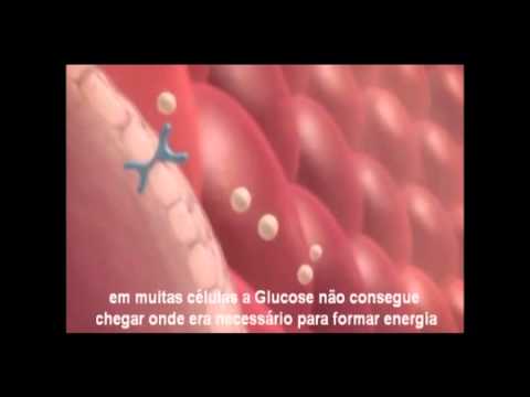 insulina---[documentÁrio]-a-diabetes-e-a-ação-da-insulina-sobre-a-glicose-glucose-em-português-br