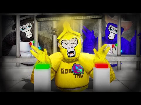 I decided the FATE of others YOUTUBE CHANNELS…