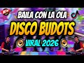 BAILA CON LA OLA ( DISCO BUDOTS) -Tiktok Viral 2026