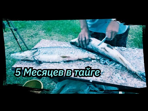 5 MONTHS IN THE TAIGA, FISHING, PIKE CUTTING, Work. Season 2025, Episode #4.