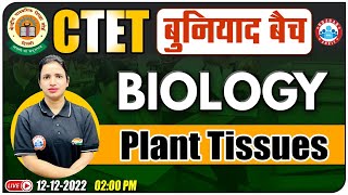 Plant Tissues | पादप ऊतक | Biology For CTET | CTET Biology Classes 24 | CTET 2022 बुनियाद बैच