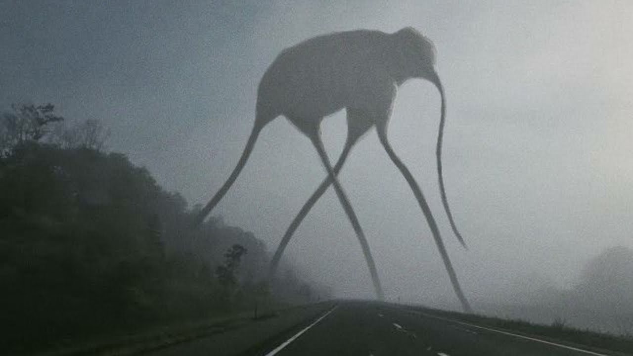 Creepypastas para tener de fondo mientras celebras Navidad con 40 grados de calor