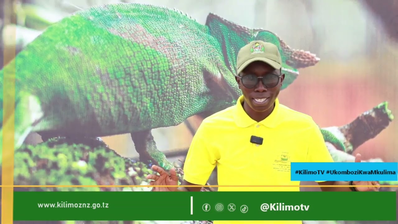 Wizara ya Kilimo Yaonesha Nguvu Maonesho ya Kimataifa ya Biashara | Mafunzo ya Mifugo na Misitu