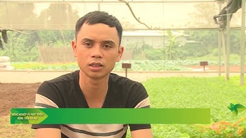 Câu chuyện chuyển đổi số của HTX rau quả sạch Chúc Sơn