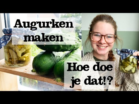 Video: Zo Kook Je Komkommers Gevuld Met Wortelen En Noten