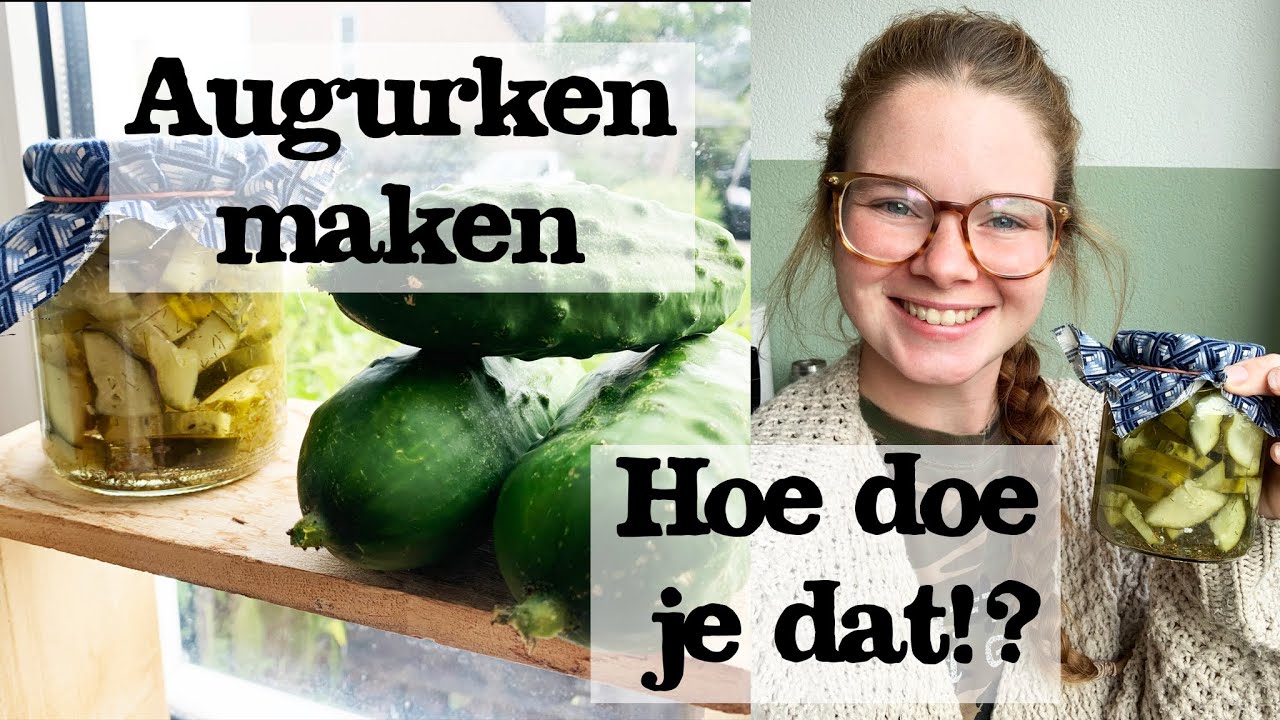 ZELF AUGURKEN MAKEN | wortels op het zuur | weck met mij
