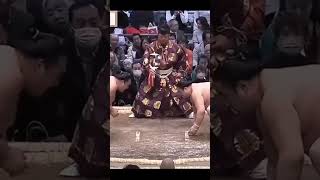 Ryuden VS Sadanoumi Haru Basho 2026 Sumo #sumo #japan #sport #сумо #япония #mma #ufc #wwe #борьба