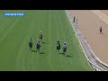 2026 $100,000 John Shear Stakes at Santa Anita Park