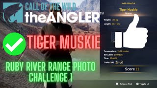 🟢 Ruby River Range Photo Challenge 1• Catch a Bronze Rank Tiger Muskie call of the wild angler