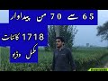 Rice Variety 1718 Kaynat بہترین پیداوار کے لیے Rice Farming In Pakistan Rice Variety 1718 Kaynat بہترین پیداوار کے لیے Rice Farming In Pakistan